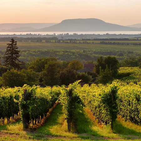 In 19321 Tatil Evi *